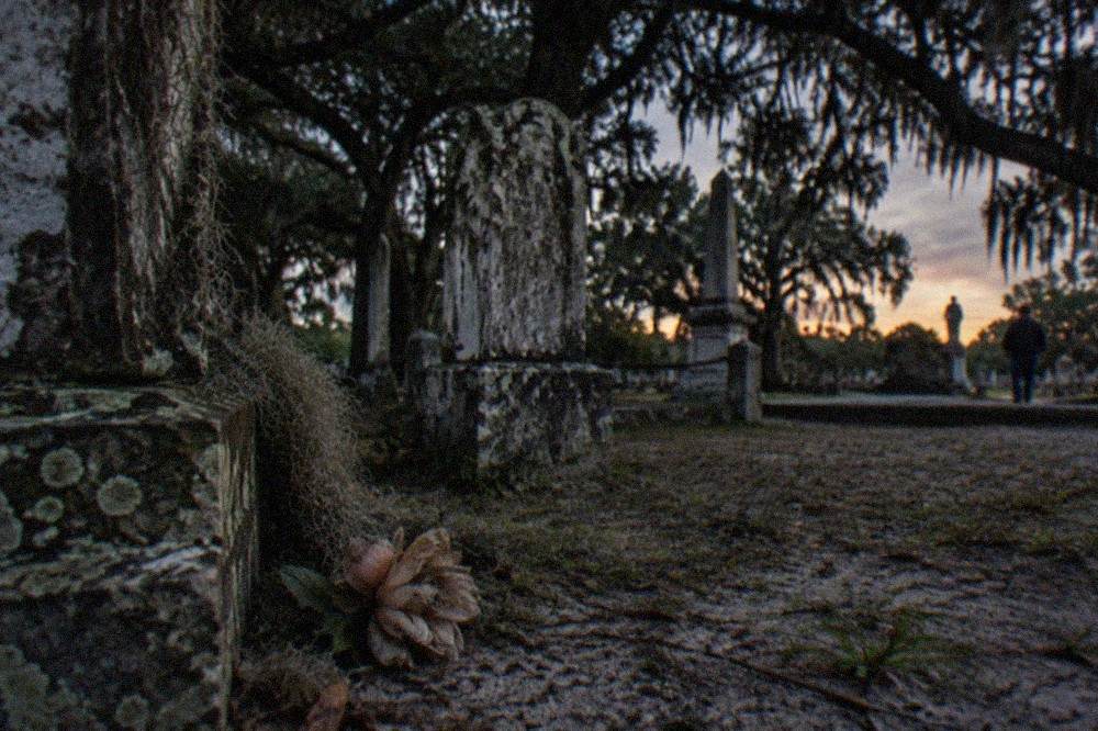 Weathered gravestones in an old Galveston cemetery at twilight with moss on the stones